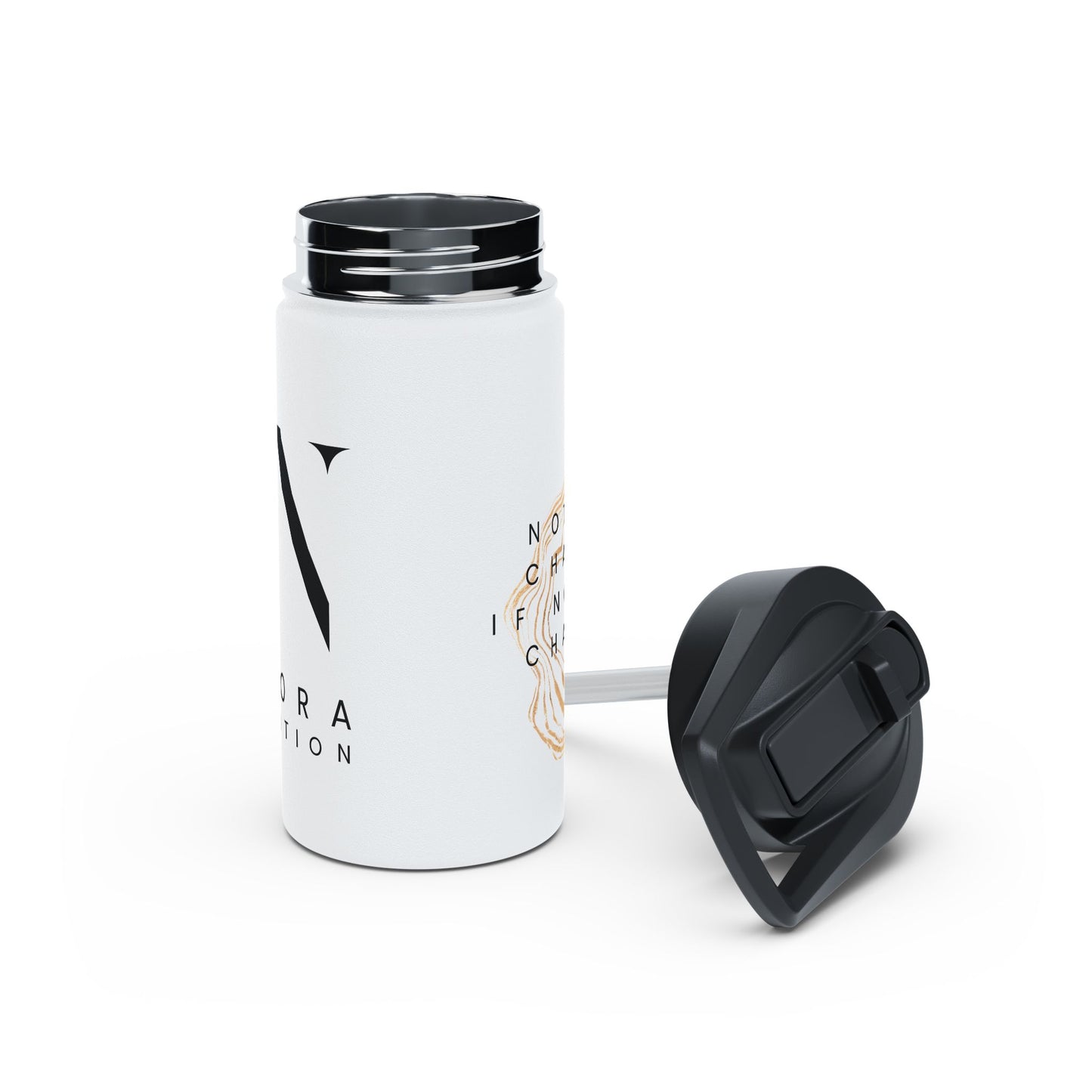 Stainless Steel Water Bottle