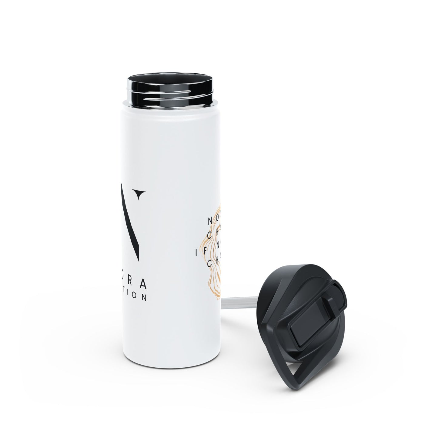 Stainless Steel Water Bottle