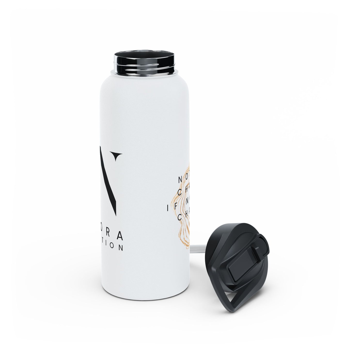 Stainless Steel Water Bottle